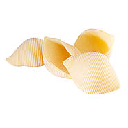 Макаронні вироби "Конкильони з Умбрії"( черепашки ) Casa Rinaldi 500г, фото 2