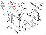 Патрубок радіатора MB Sprinter CDI (нижній), фото 2