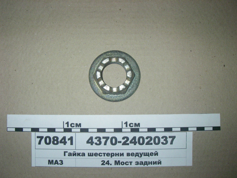 Гайка шестерні провідною (вир-во БААЗ) 4370-2402037, фото 1