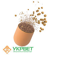 Пробіотичний препарат EnzActive