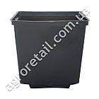 Пластиковий горщик для розсади з перфорацією квадратний 6x6x5.5 см 0.15 чорний л Киссон, фото 2