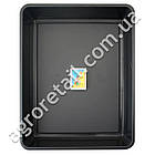 Пластиковий лоток для розсади 330x258x60 мм, фото 2