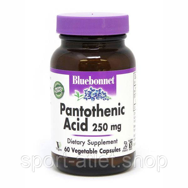 Вітаміни та мінерали Bluebonnet Nutrition Pantothenic Acid 250 mg, 60 вегакапсул