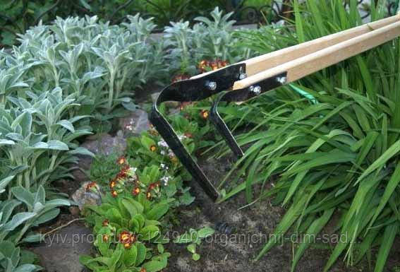 Садовий інвентар для розшаровування ґрунту плоскорізом
