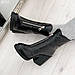 Черевики ботильйони, чоботи короткі жіночі зимові чорні шкіряні на хутрі на сталий товстому каблуці, фото 6