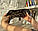 Хлопчик бенгал, ін. 06.11.2020. Бенгальські кошенята з розплідника Royal Cats. Україна, Київ, фото 3