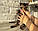 Хлопчик бенгал, ін. 06.11.2020. Бенгальські кошенята з розплідника Royal Cats. Україна, Київ, фото 7