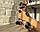 Дівчинка бенгал, ін. 28.10.2020. Бенгальські кошенята з розплідника Royal Cats. Україна, Київ, фото 9