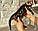 Дівчинка бенгал, ін. 28.10.2020. Бенгальські кошенята з розплідника Royal Cats. Україна, Київ, фото 7