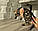 Дівчинка бенгал, ін. 28.10.2020. Бенгальські кошенята з розплідника Royal Cats. Україна, Київ, фото 6
