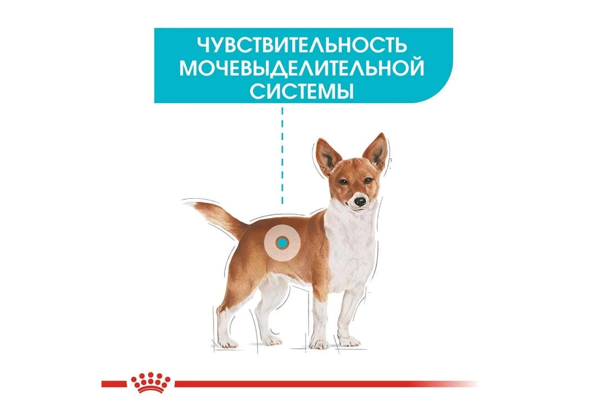 Royal Canin Urinary Care (Роял Канин Ол Сайзес Уринари Кер) влажный корм для собак со слабой мочевой системой 85 г х 12 шт - фото 5 - id-p1336992686