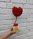 Подарунок на день святого Валентина коханій дівчині, коханій дружині. Топіарій з моху у формі серця, фото 4