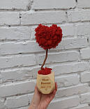 Подарунок на день святого Валентина коханій дівчині, коханій дружині. Топіарій з моху у формі серця, фото 2