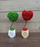Ніжний і символічний топіарій, крона якого виконана у формі серця зі стабілізованого моху — це чудовий подарунок для закоханих! Жи, фото 4