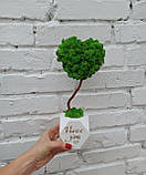 Ніжний і символічний топіарій, крона якого виконана у формі серця зі стабілізованого моху — це чудовий подарунок для закоханих! Жи, фото 3