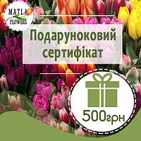 500 грн - подарочный сертификат