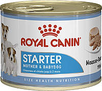 Royal Canin Starter Mousse Mother Babydog (Роял Канин Стартер Мазер Бебидог) влажный корм для беременных собак 0.195 кг.