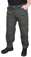 Штани літні польові НГУ статутні олива