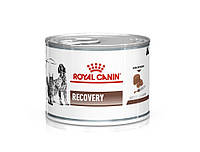 Royal Canin Recovery 12шт(Роял Канин Рекавери) влажный корм для собак и кошек для восстановления после болезни