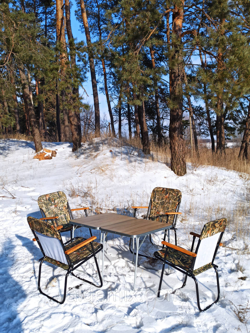 Купити розкладний стіл зі стільцями для пікніка "Патріот О2Х+4" (2 столи +4 крісла), фото 1