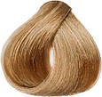 Стійка крем-фарба для волосся Sinergy №8/37 Золотий пісок,100мл, фото 3