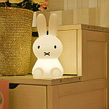 Нічник для дитячої Зайчик Міффі з акумулятором, 30 см, фото 2