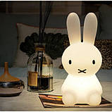 Нічник для дитячої Зайчик Міффі з акумулятором, 30 см, фото 4