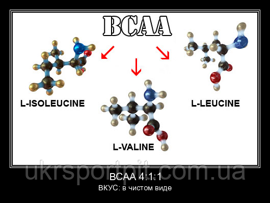 BCAA 4:1:1 (микропомол, в чистом виде) 500 г - фото 4 - id-p1337545087