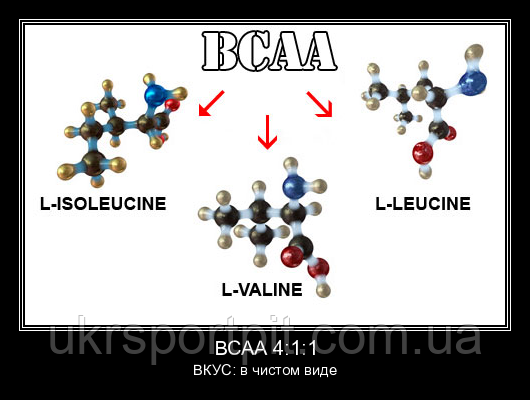 BCAA 4:1:1 (микропомол, в чистом виде) 1000 г - фото 4 - id-p1337547557