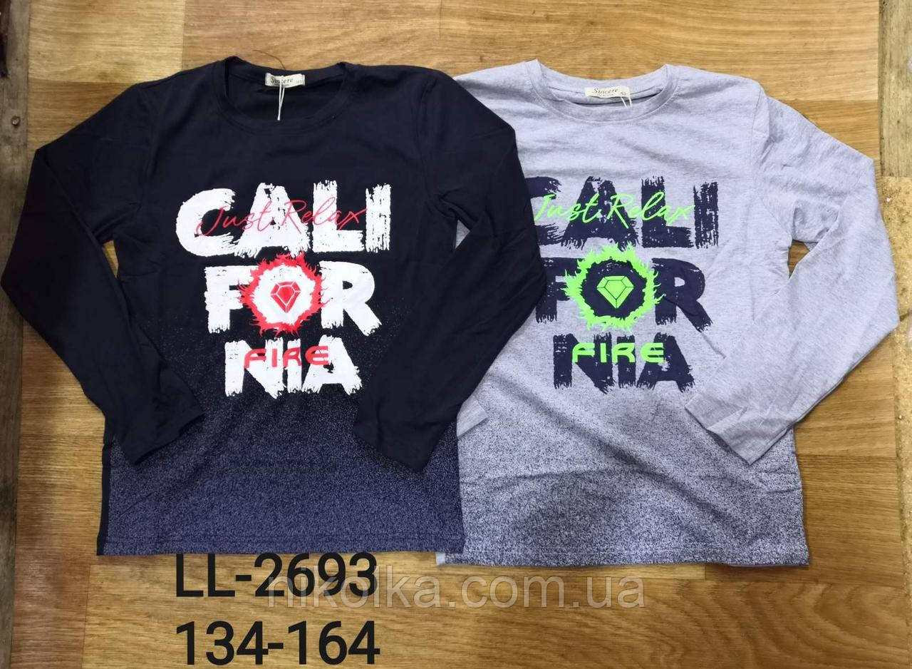 Реглан для хлопчика оптом, Sincere, 134-164 рр., Арт. LL-2693, фото 1