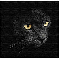 Al Гарна картина розмальовка за номерами цифр "Погляд хижака" 40*40 см KHO4204 живопису на полотні