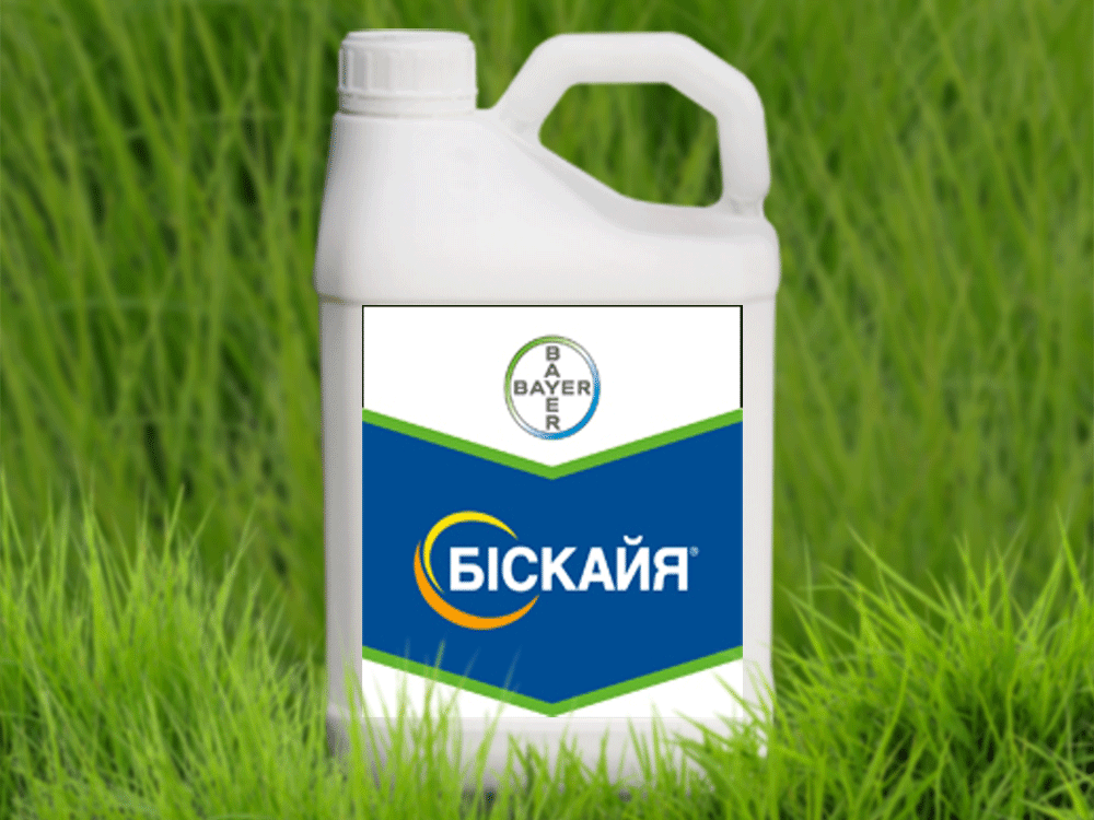 Інсектицид Біскайя Bayer (упаковка 5л-700грн за 1л)