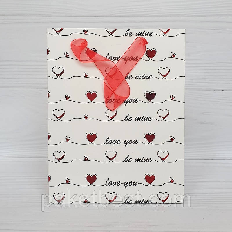 Подарунковий Пакет ГІГАНТ(31х42х12)