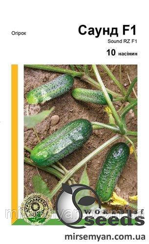 Огірок "Саунд" F1 10 с. А Рійк Цваан/(Rijk Zwaan), фото 1