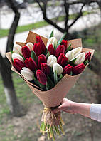 Букет из 25 красно-белых тюльпанов