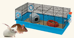 Клітка Ferplast (Ферпласт) KORA для дрібних гризунів, 58*31,5*20,5 див.