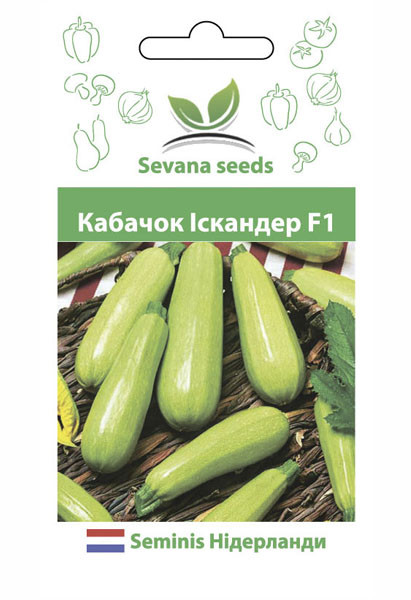 Насіння кабачка Іскандер F1 5 шт. Seminis, фото 1