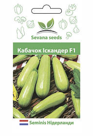 Насіння кабачка Іскандер F1 5 шт. Seminis