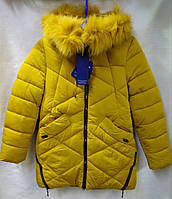 Куртка для дівчинки зима гірчично-жовтого кольору тепла легка р 140