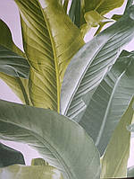 Обои виниловые на флизелине AS creation Metropolitan Stories 2 листья бананового дерева салатовые