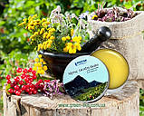 Бальзам з альпійських трав, 33 трави, Швейцарія, фото 3