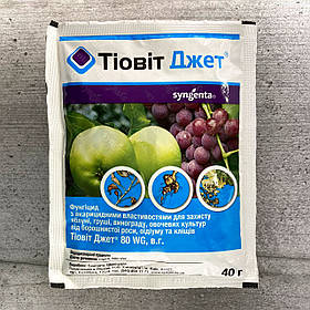 Фунгіцид Тіовіт Джет 40 г Syngenta