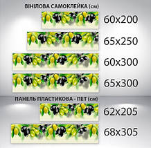 Скинали на кухню з плівки оливки на гілках, із захисною ламінацією, 60 х 250 см., фото 4