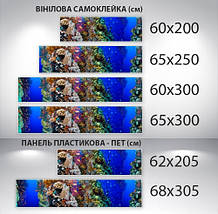 Наклейка на кухонний фартух 60 х 200 см, з фотодруком та захисною ламінацією підводний світ (БП-s_an036), фото 3