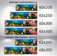 Наклейка на кухонний фартух 60 х 200 см, з фотодруком та захисною ламінацією з морською фауною (БП-s_an038), фото 4