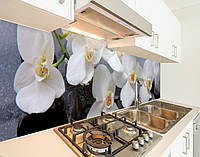 Наклейка на кухонный фартук 60 х 200 см, фотопечать с защитной ламинацией Орхидеи на камнях (БП-s_fl11743)
