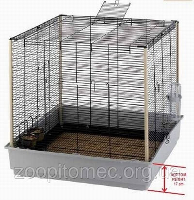 JENNY LARGE KD FERPLAST Клітка для середніх гризунів і дрібних тварин.
