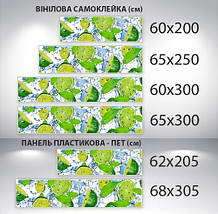 Наклейка на кухонний фартух 60 х 200 см, з фотодруком та захисною ламінацією лайм з цитрусами (БП-s_ed052), фото 4