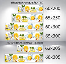 Наклейка на кухонний фартух 60 х 200 см, з фотодруком та захисною ламінацією лимони та кубики льоду (БП-s_ed582), фото 3