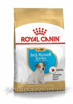 Корм для цуценят Royal Canin Jack Russell Junior (Роял Канін Джек - Рассел Юніор) 1,5кг.